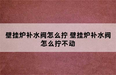 壁挂炉补水阀怎么拧 壁挂炉补水阀怎么拧不动